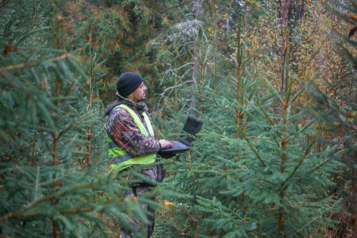 Border guards exposed two environmental violations per day thanks to a drone in Zakarpattia region