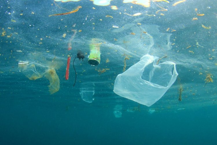 An unexpected TOP-10 countries of the biggest polluters of the ocean with plastic