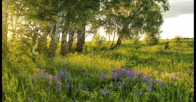 Photo – The court returned protected land worth 10 billion UAH to Kyiv