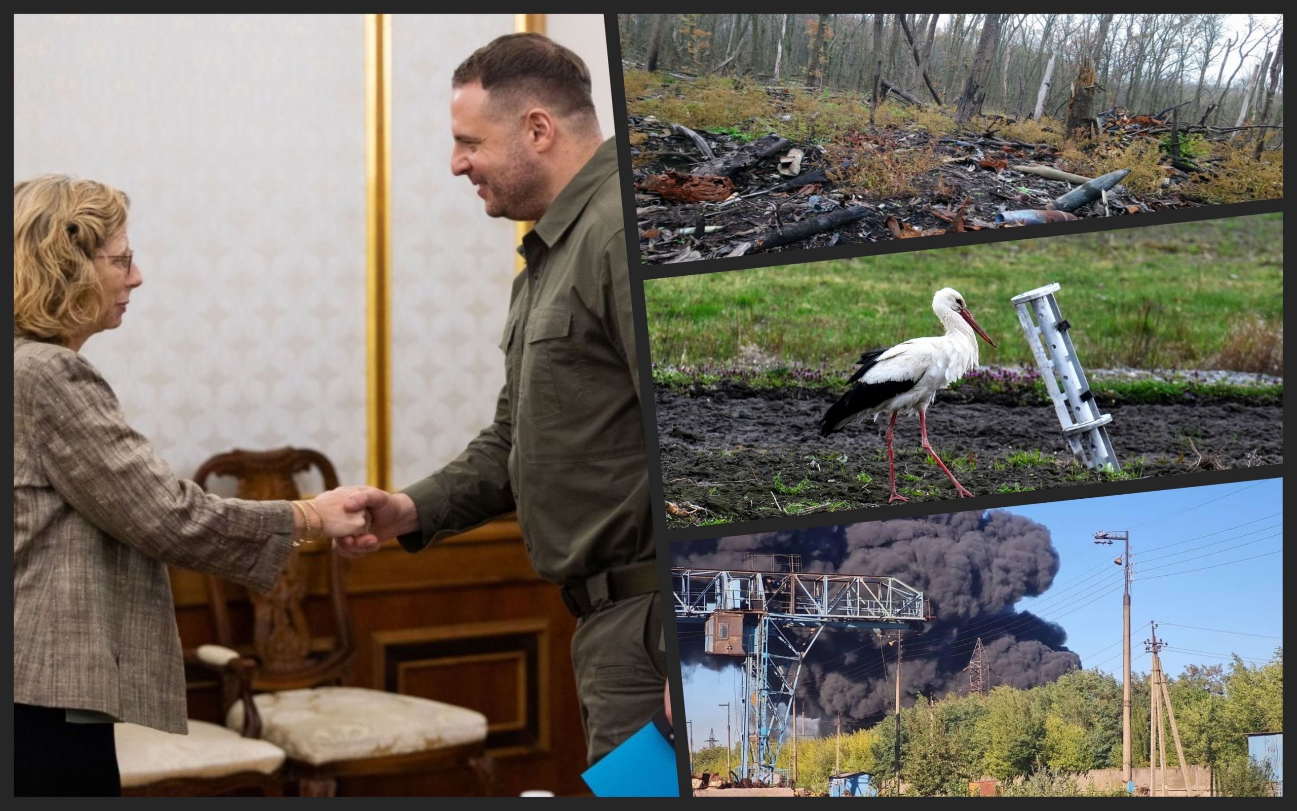 Photo – Yermak and the head of UNEP discussed opposition to Russian ecocide and responsibility for it