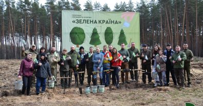 Photo – 23 million new trees were planted in Ukrainian forests