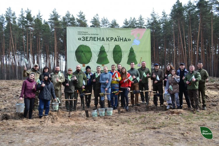 23 million new trees were planted in Ukrainian forests