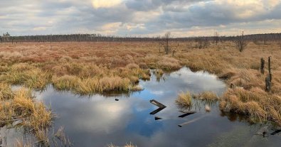 Photo – Rivne region to launch large-scale amber mining near the reserve