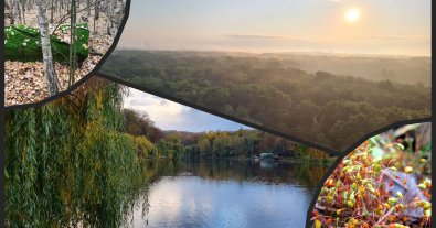 Photo – Part of the Holosiiv National Park worth 90 million hryvnias was returned to Kyiv