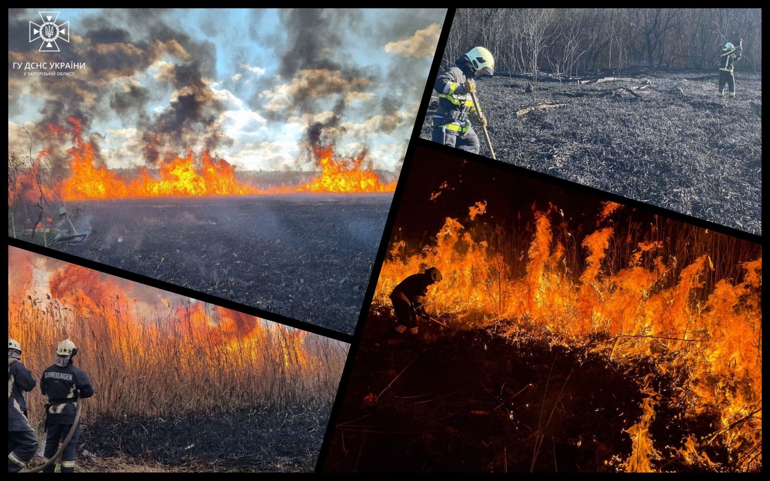 Photo – The grass burning season has begun in Ukraine: 20 hectares have burned