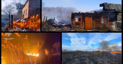 Фото – Спасатели Львовщины показали последствия сжигания травы: сгорел дом и гектары полей