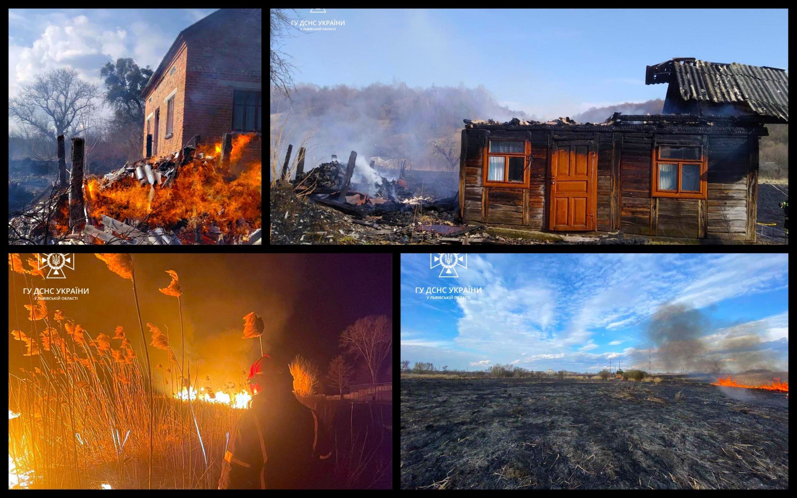 Photo – The rescuers of the Lviv region showed the consequences of burning grass: a house and hectares of fields burned down