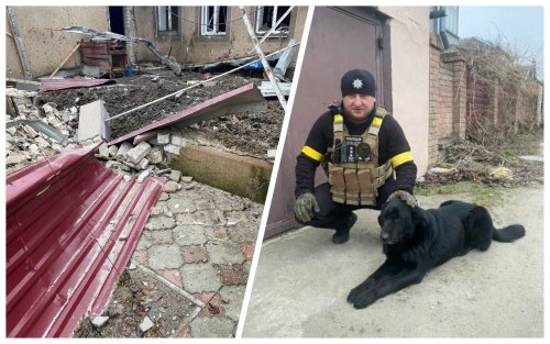 Поліцейські Херсона врятували собаку, покинутого на руїнах війни