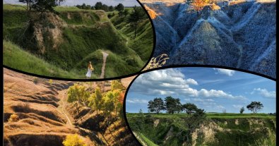 Photo – Thanks to social networks, 169 hectares of picturesque steppe were taken under protection near Kyiv