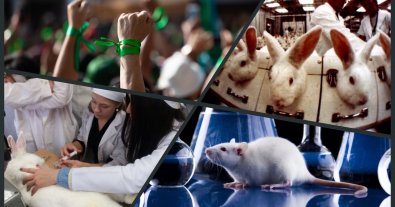 Photo – They demand from Zelenskyi to ban the torture of animals in universities