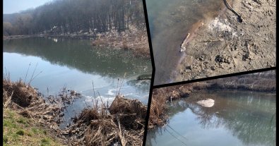 Фото – У Голосіївському парку Києва виявили колосальне забруднення ставків