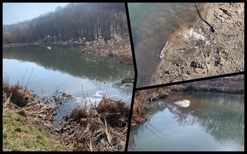 В Голосеевском парке Киева обнаружили колоссальное загрязнение прудов