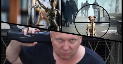 Photo – Animal rights activists told how the dog hunter Svyatohor escaped punishment