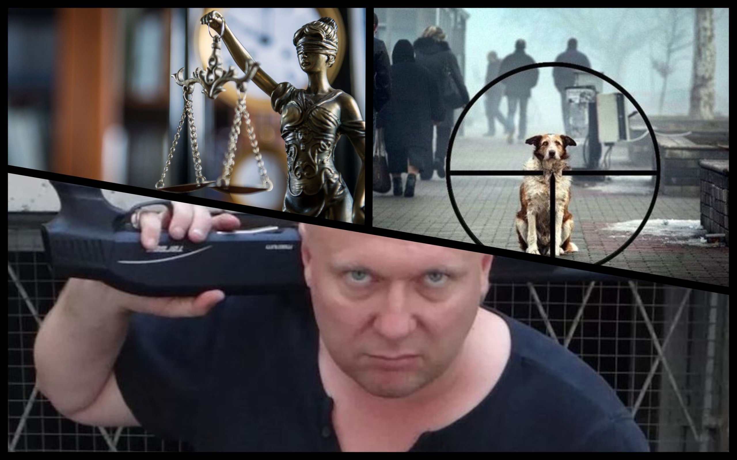 Photo – Animal rights activists told how the dog hunter Svyatohor escaped punishment