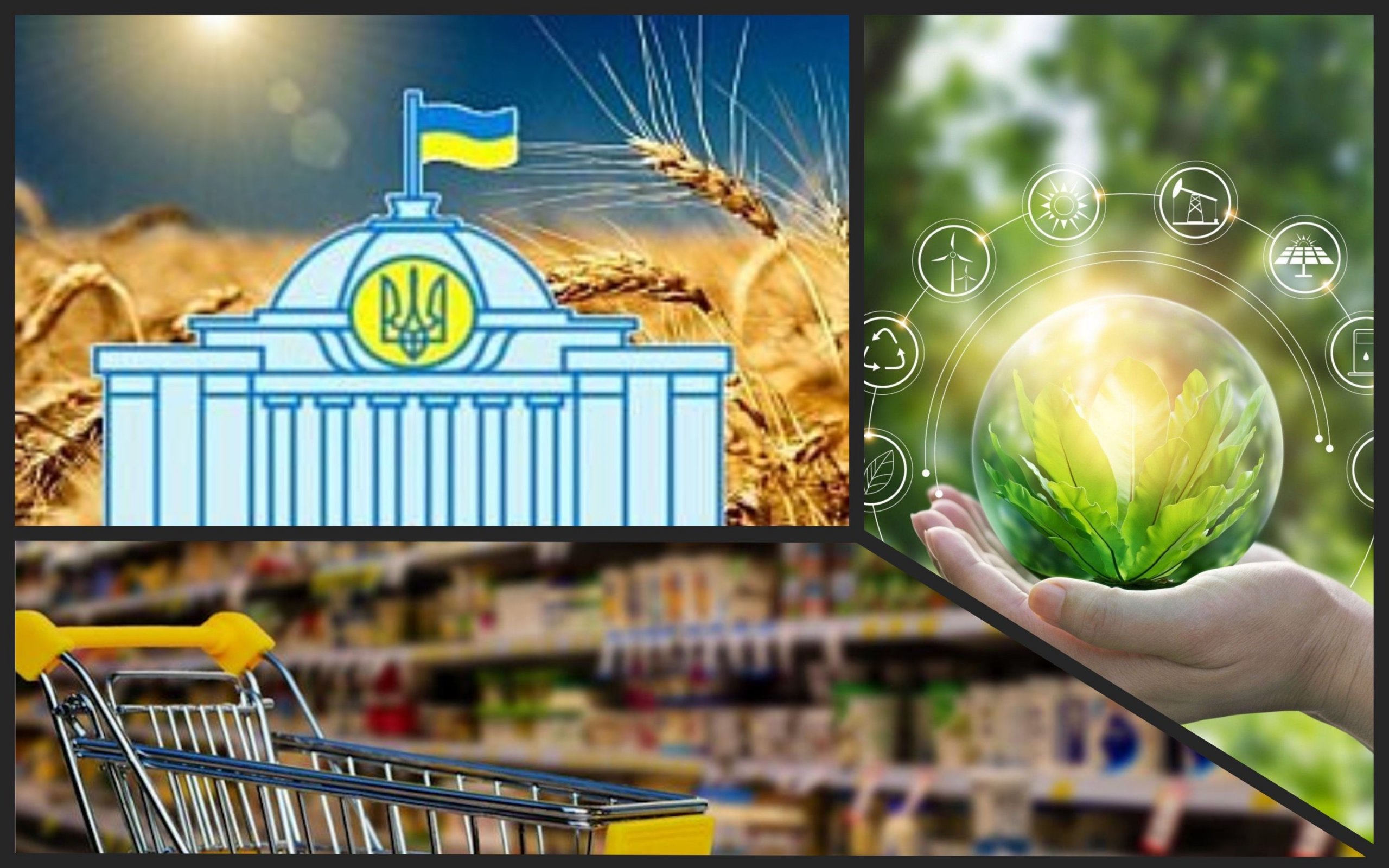 Photo – The EcoCommittee of the Verkhovna Rada will hold a meeting on March 29