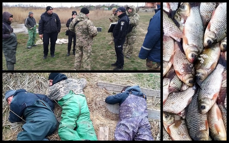 Poachers were caught with a catch worth half a million hryvnias in a nature reserve in Odesa