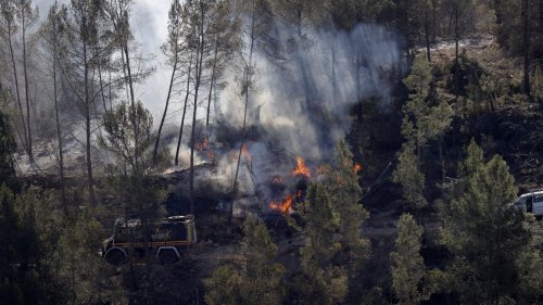 В Іспанії почався сезон лісових пожеж