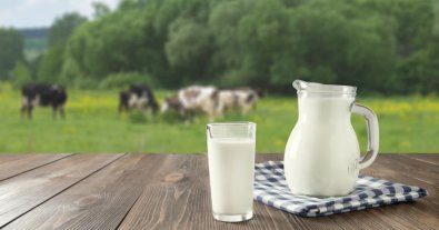 Photo – Spoiled milk is processed into biofuel in Ukraine