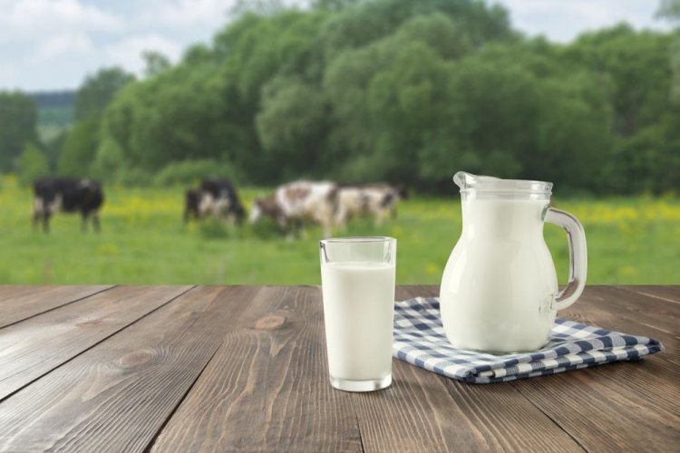 Spoiled milk is processed into biofuel in Ukraine