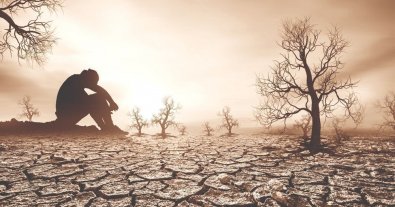 Фото – Мир проигрывает гонку в борьбе с изменением климата – президент COP28