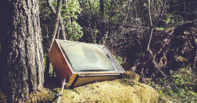 Photo – You should be ashamed: activists showed their findings from clearing the forest in Brovary