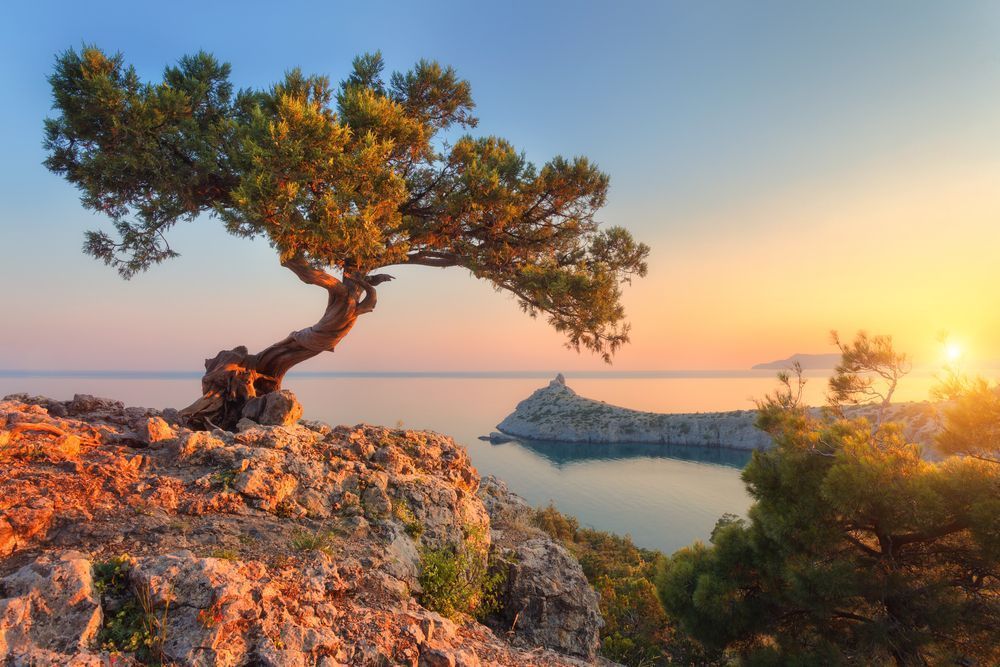 Photo – Russia uses Crimean reserves to legalize annexation in the eyes of the UN – ecoactivists