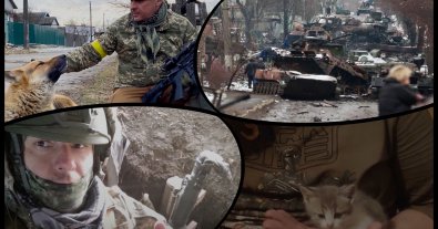 Photo – The defender of Irpin saved animals in between fights