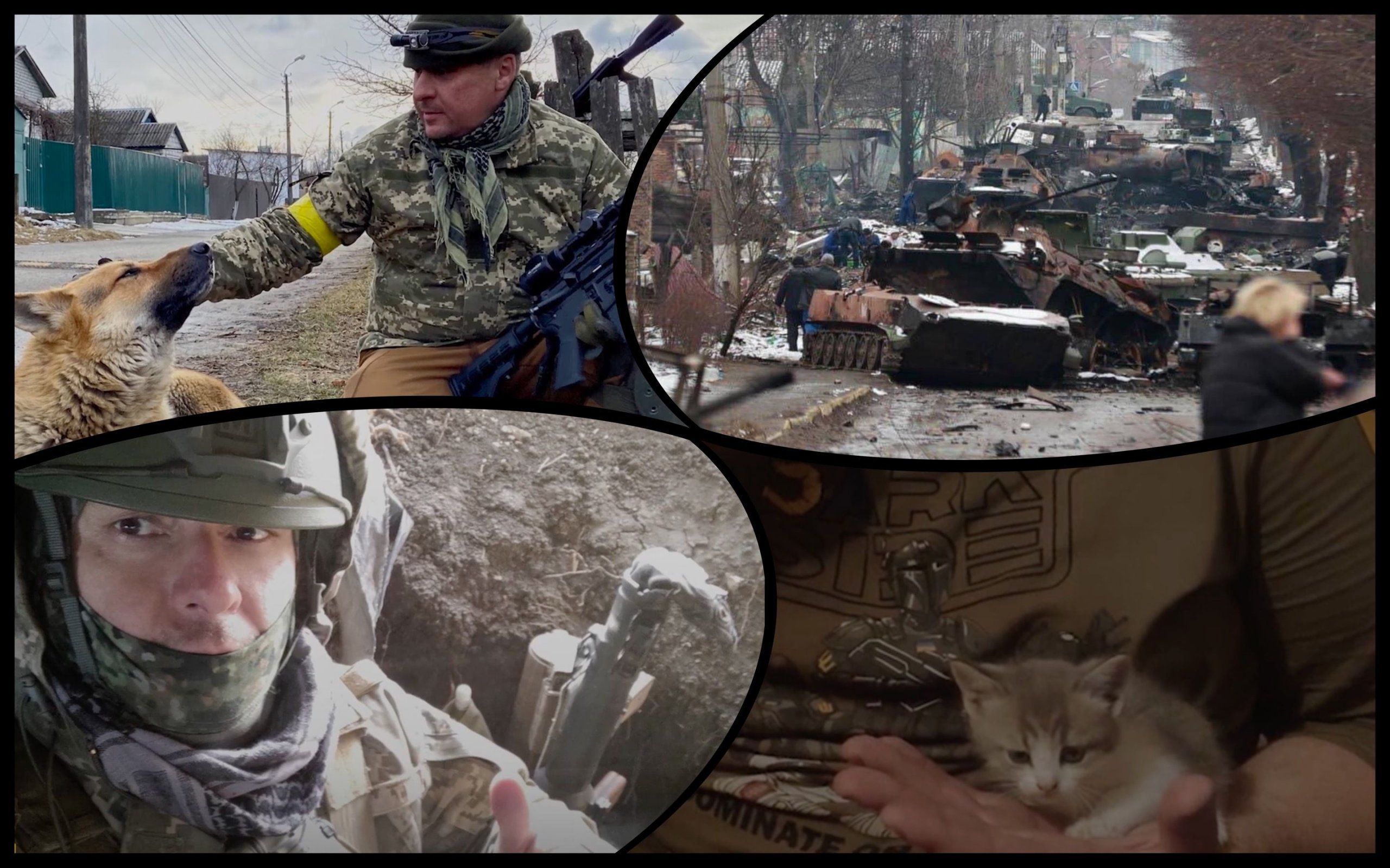 Photo – The defender of Irpin saved animals in between fights