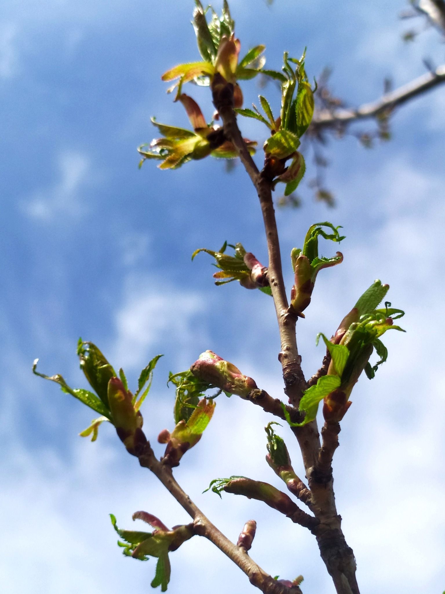 facebook.com/EnvironmentalofUkraine