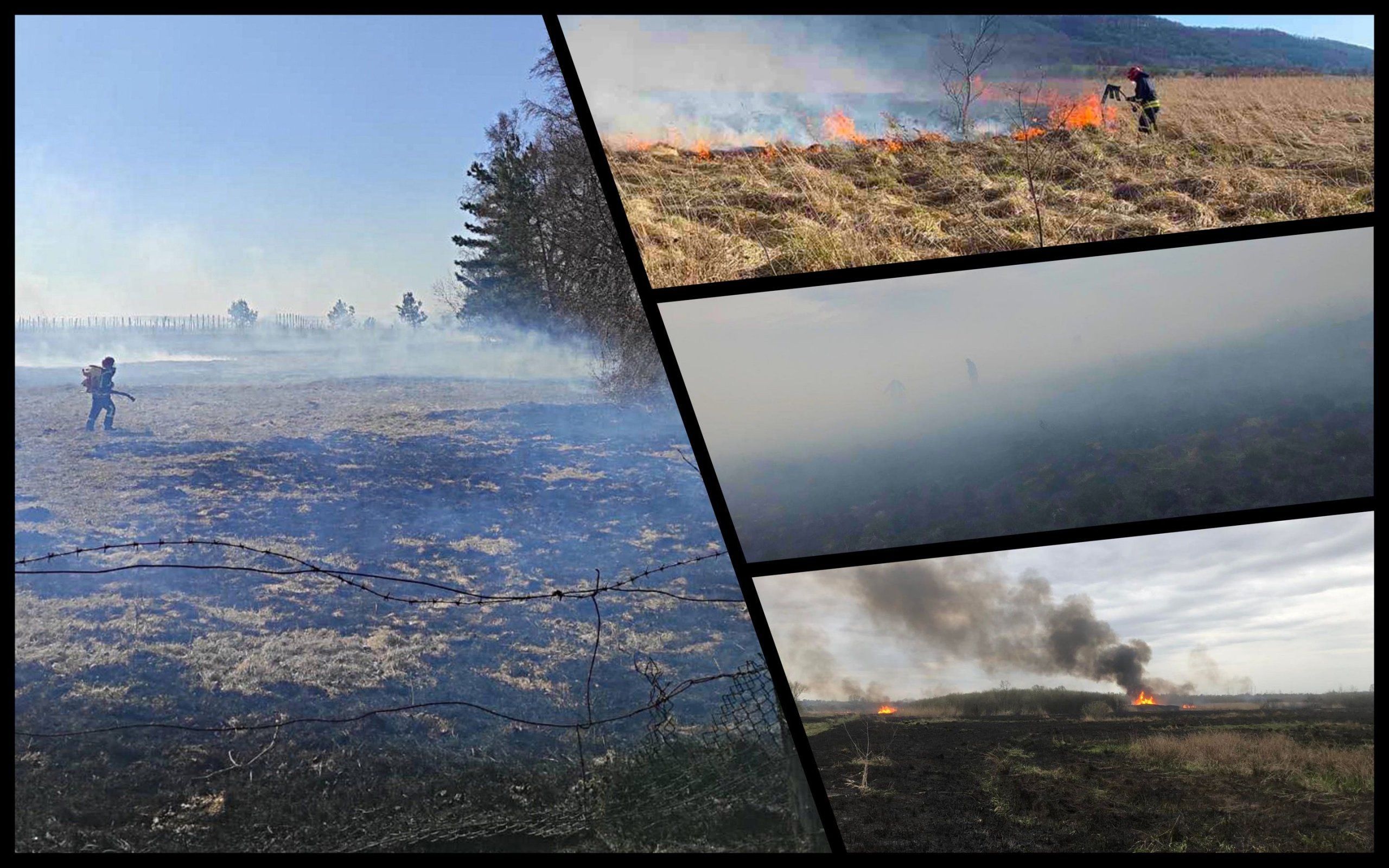 Photo – Have a conscience: Lviv residents set 12 fires of dry grass in a day