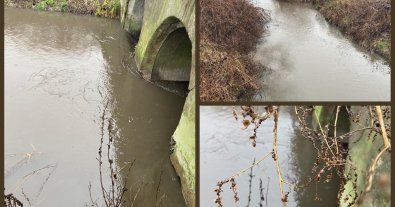 Photo – The culprit was found in the large-scale pollution of the river by sewage effluents