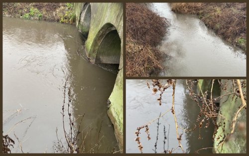 На Киевщине нашли виновника в масштабном загрязнении реки стоками из канализации