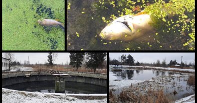 Photo – The first case for ecocide was brought to court in Ukraine