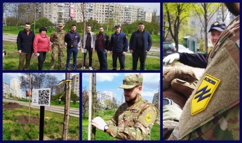 У Києві висадили сакури, щоб допомогти бійцям “Азову”