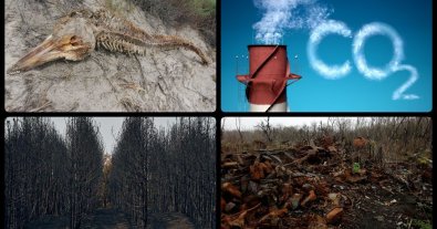 Фото – В ЕС нашли неожиданный способ, как Украине взыскать с россии ущерб за вред природе