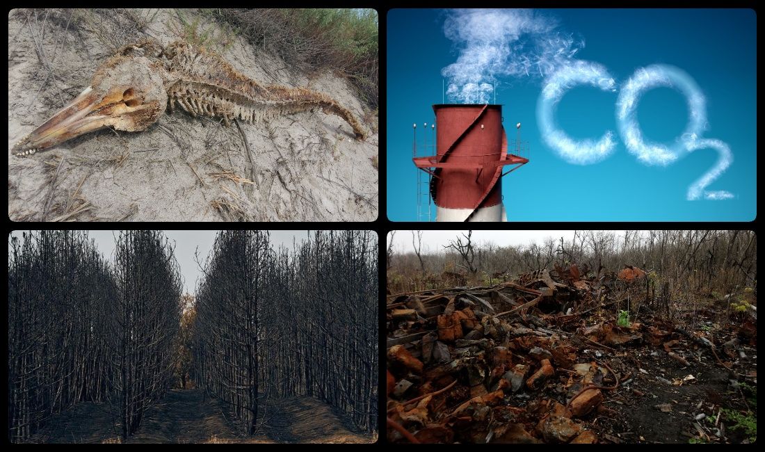 Photo – The EU found an unexpected way for Ukraine to recover damages from Russia for damage to nature