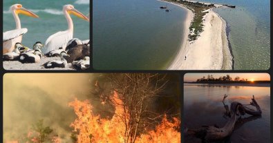 Photo – 96% of the protected Kinburn Spit was destroyed by fires due to military actions by the Russian Federation