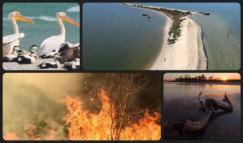 96% of the protected Kinburn Spit was destroyed by fires due to military actions by the Russian Federation