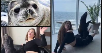 Photo – A photo session with seals in the middle of the hotel: the Odesa dolphinarium was accused of cruelty