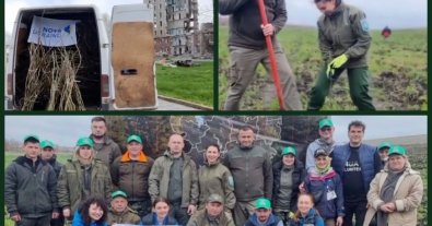 Фото – В Николаевской области высадили 2 тысячи эвакуированных деревьев