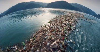 Фото – Сміттєві острови в океані заселили тварини з узбережжя