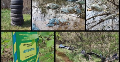 Фото – У Києві заповідний острів перетворили на звалище. Фото