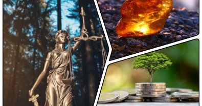 Фото – На Закарпатье конфисковали янтаря на 4 миллиона гривен