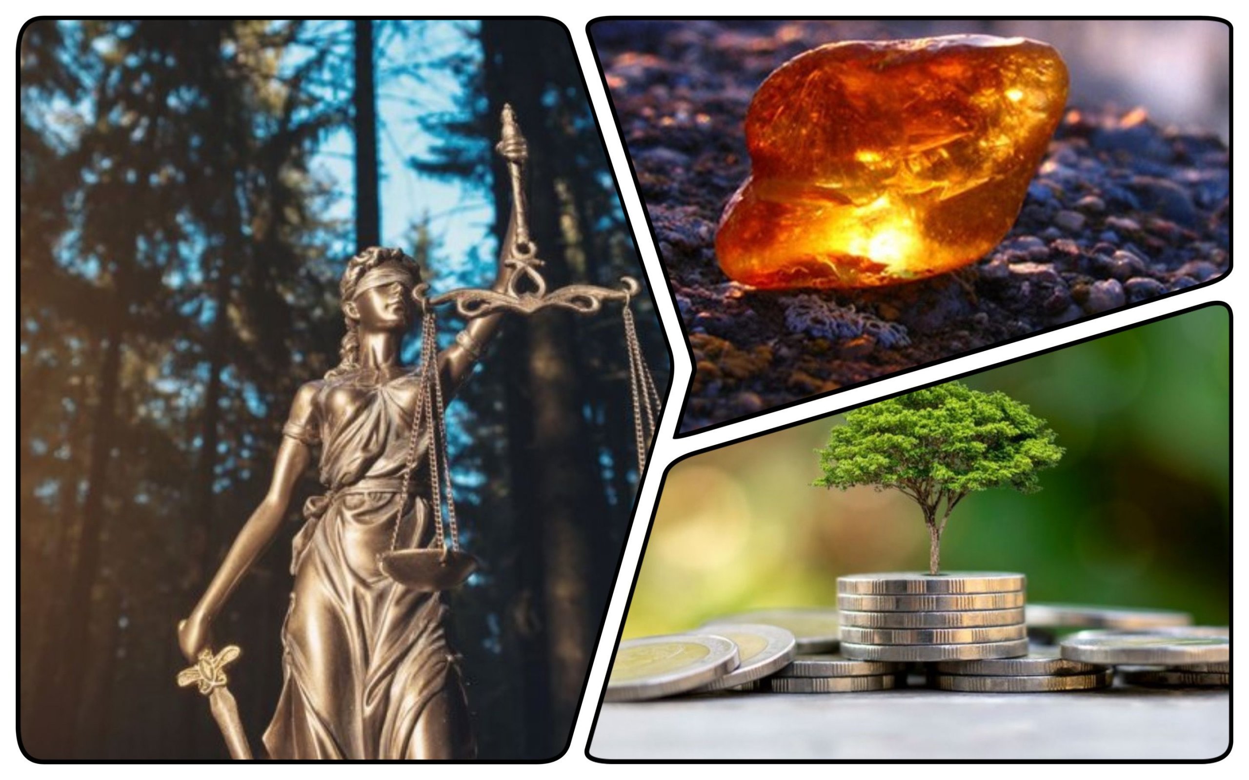 Photo – Amber worth 4 million hryvnias was confiscated in Transcarpathia