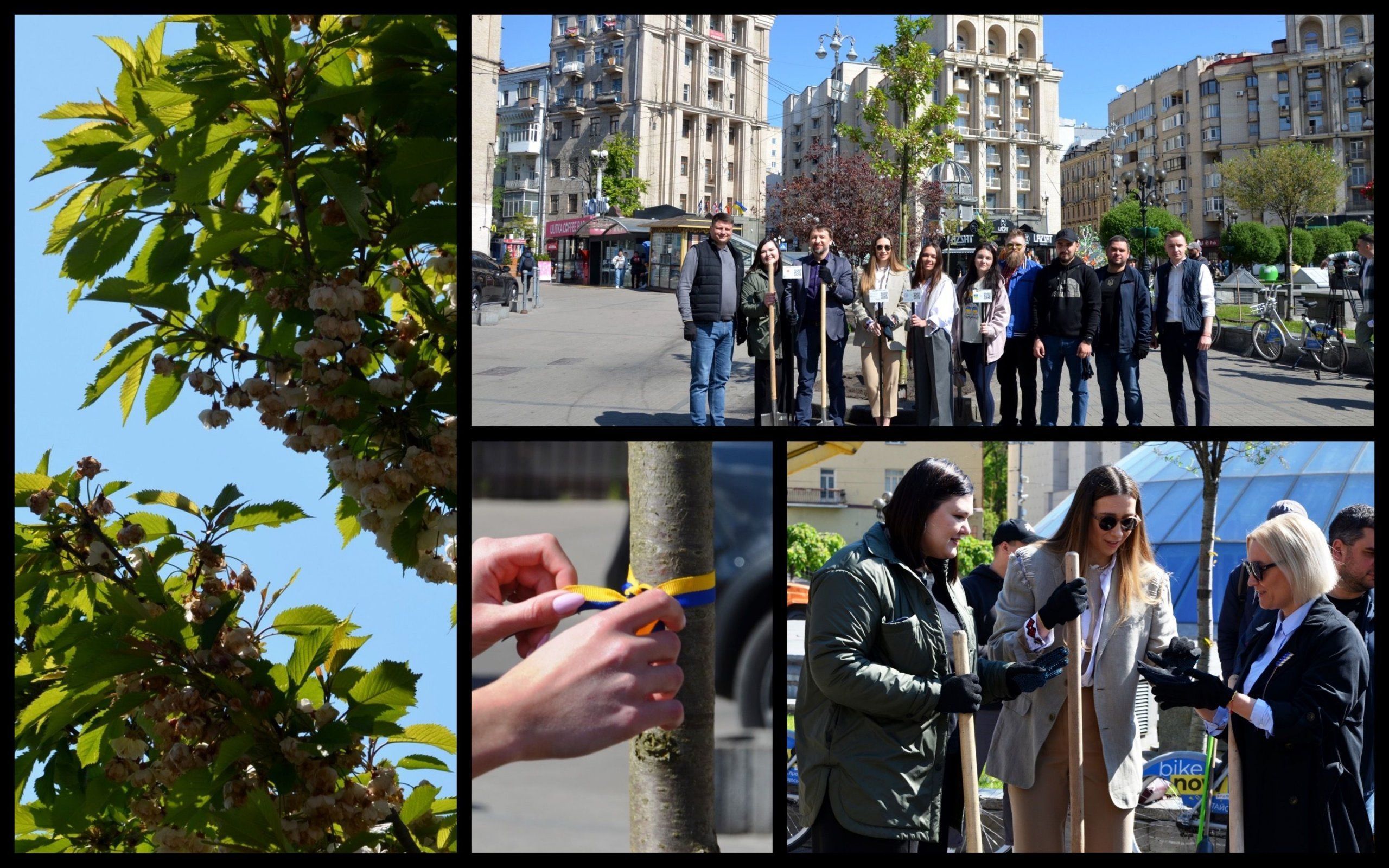 Photo – A symbolic Alley of international support for Ukraine was planted in the center of Kyiv