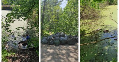 Photo – The protected island was removed in Kyiv: mountains of garbage were removed. Photo