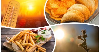 Фото – Изменение климата может "забрать" у человечества чипсы и картофель фри