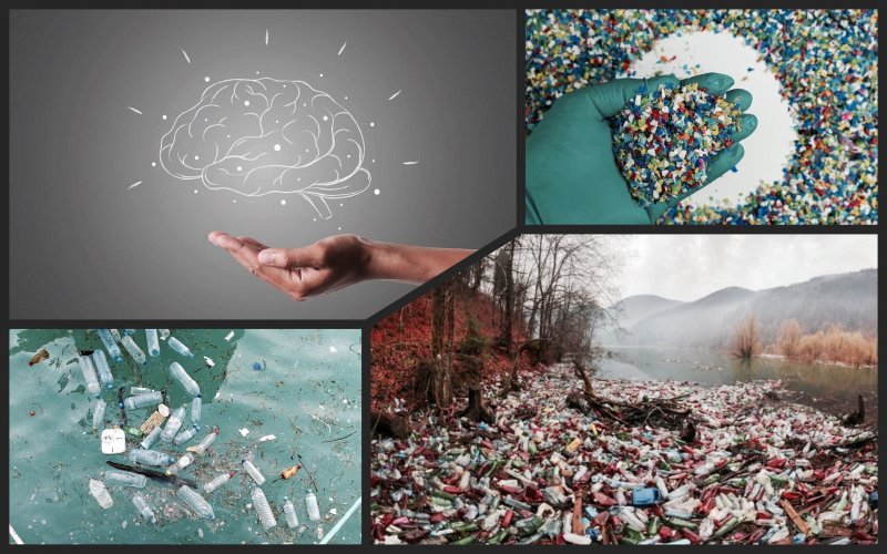 Scientists have discovered particles of plastic in the human brain: why is it dangerous