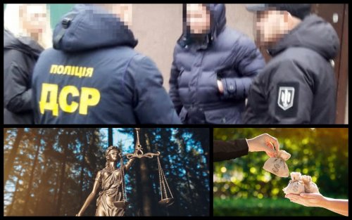 Директорку Шацького нацпарку судитимуть за махінації на мільйон гривень