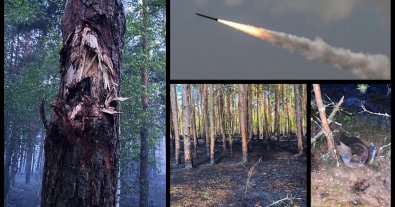 Фото – На Киевщине из-за очередного ракетного удара сгорела часть леса